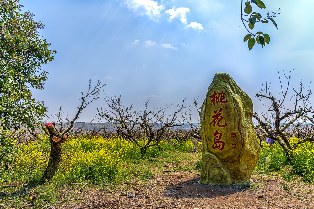 南京六合桃花岛 桃花节开幕一日游