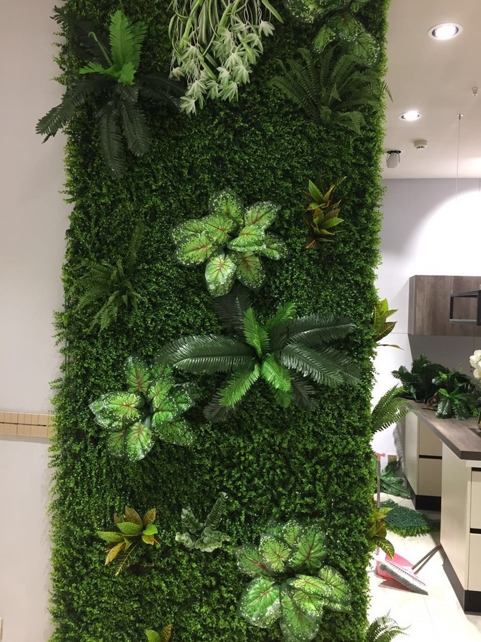 新面绿植墙