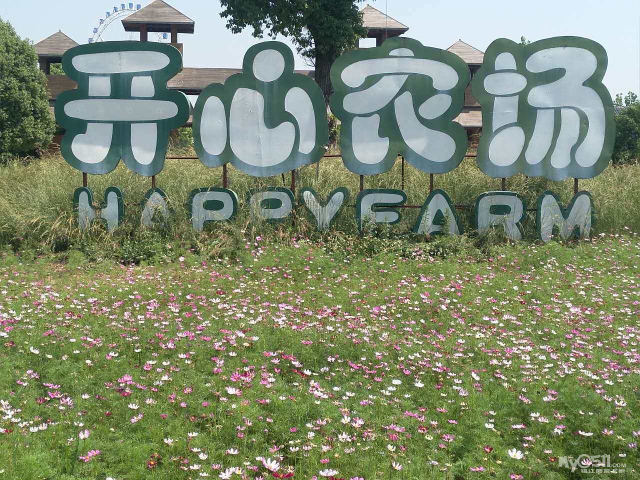 镇江世业洲开心农场