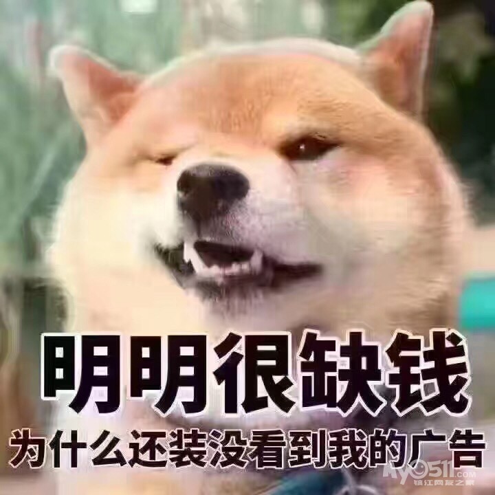 缺钱找我图片