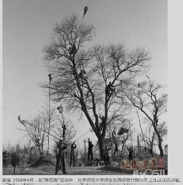 1958年全民除四害运动 第一时间,绝对现场  [  本帖最后由 江苏小老鼠