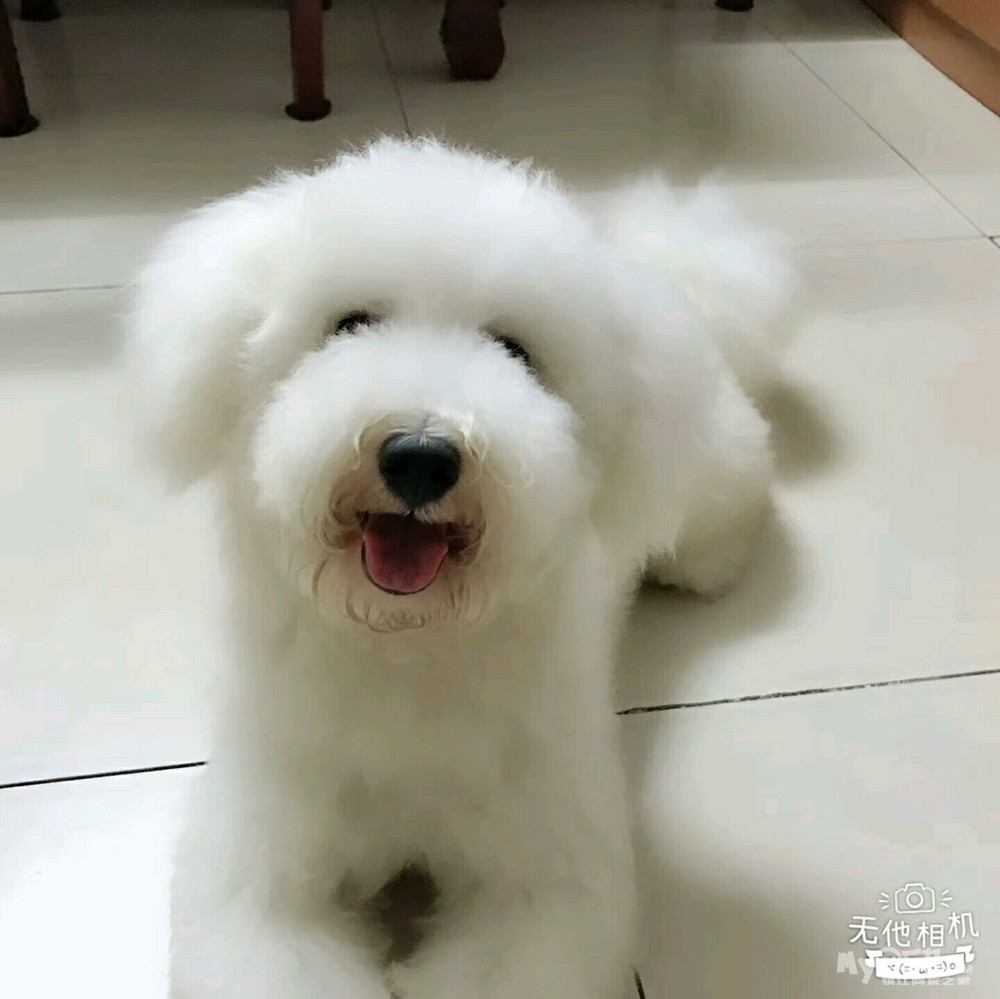 ma_1505451023159788rs.jpg