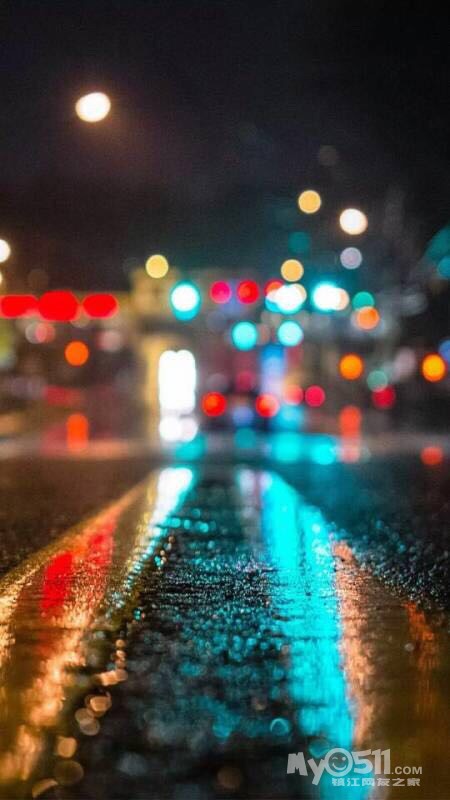 在中南大三期丢了只巴哥!好心人见过可以联系我!