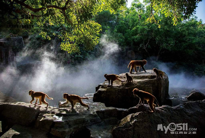海南 三亚 南湾猴岛 南山 天涯海角双飞六日游 - 中旅优·优旅游