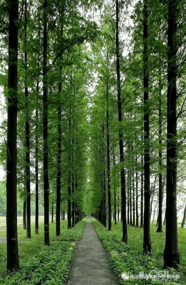 梦溪论坛 畅游天下 » 六合龙袍中国水彬大道