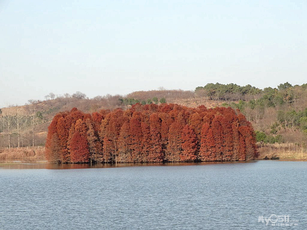 骑游丹阳大湾上湾两水库的一些照片