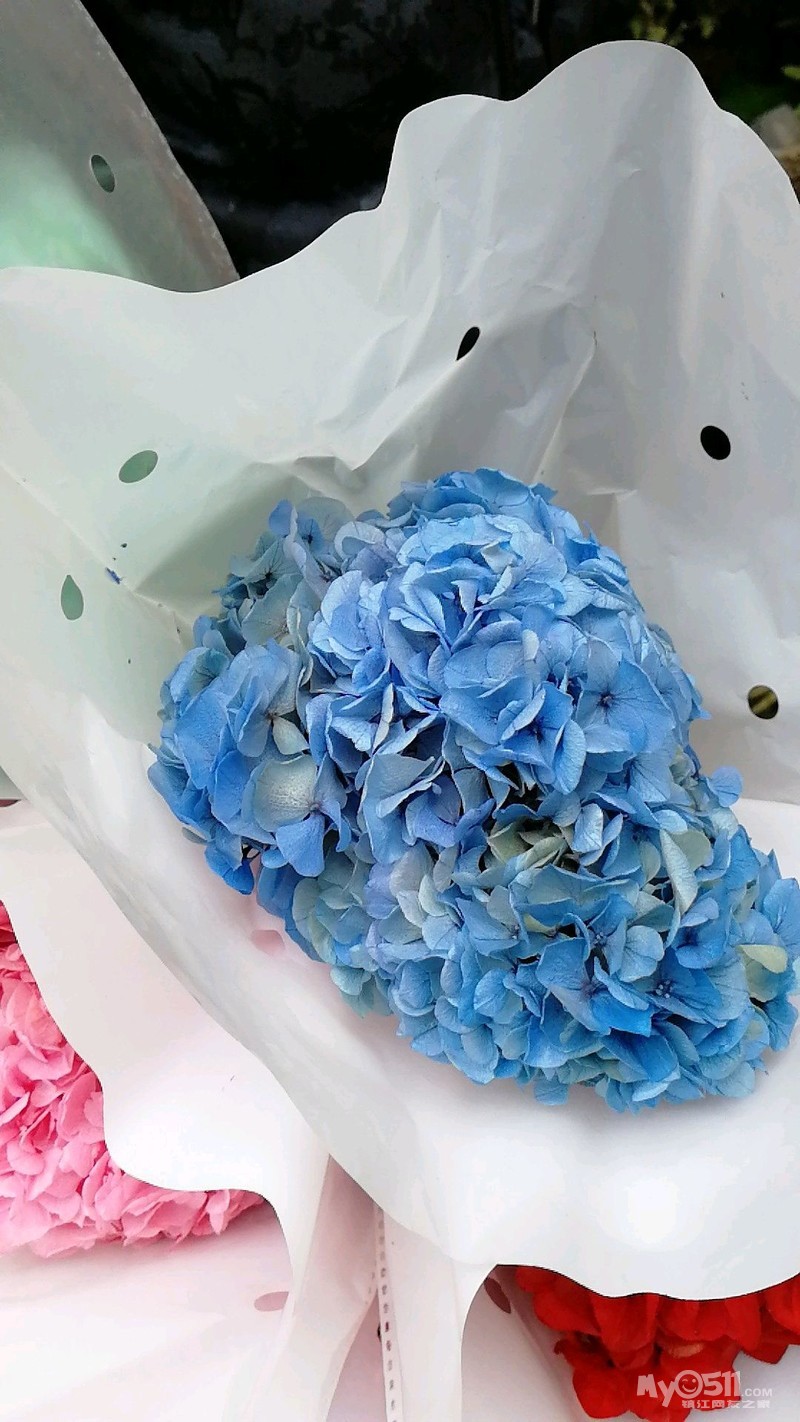 干花绣球 可放3-4年