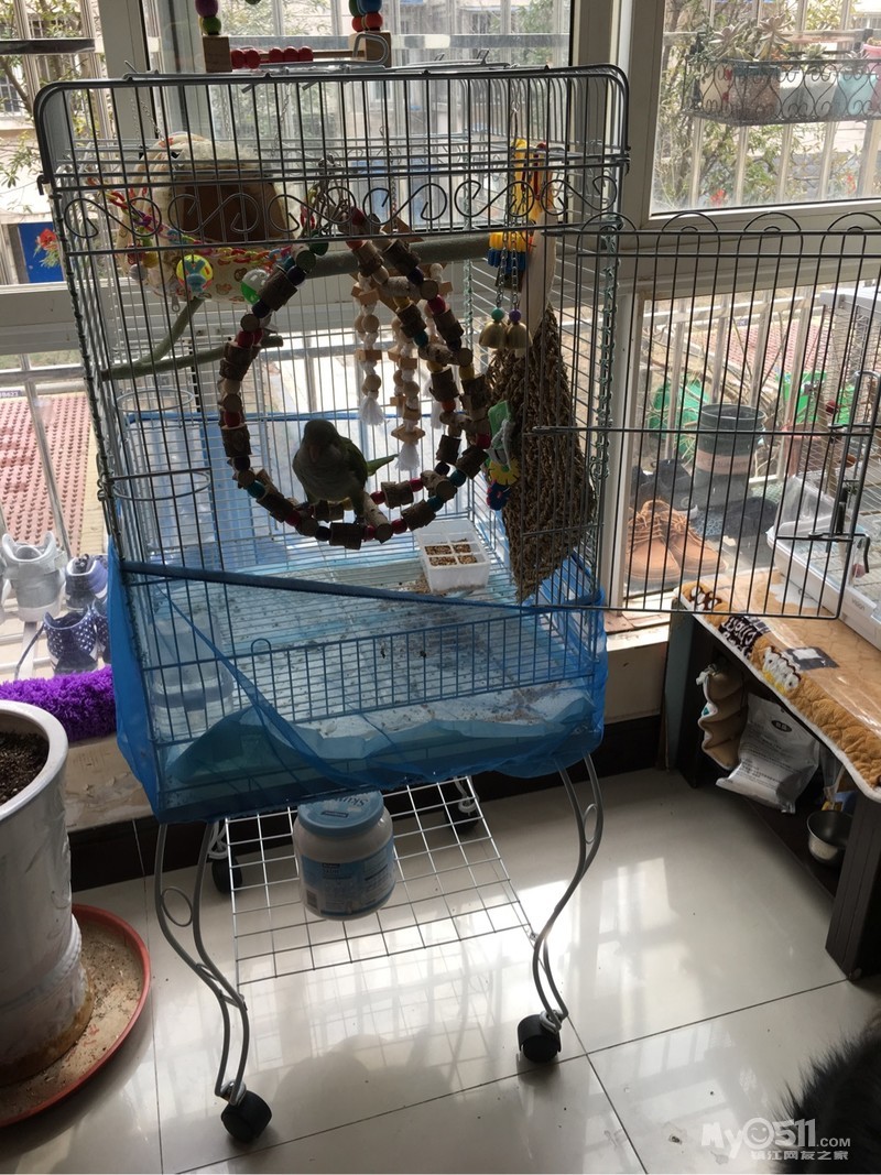 高档虎皮鸟笼 ma_1519535949279715rs.jpg