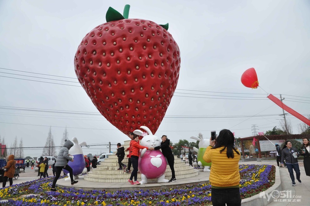 句容白兔草莓节 伏热花海 丹阳全州梅花林——一日骑游