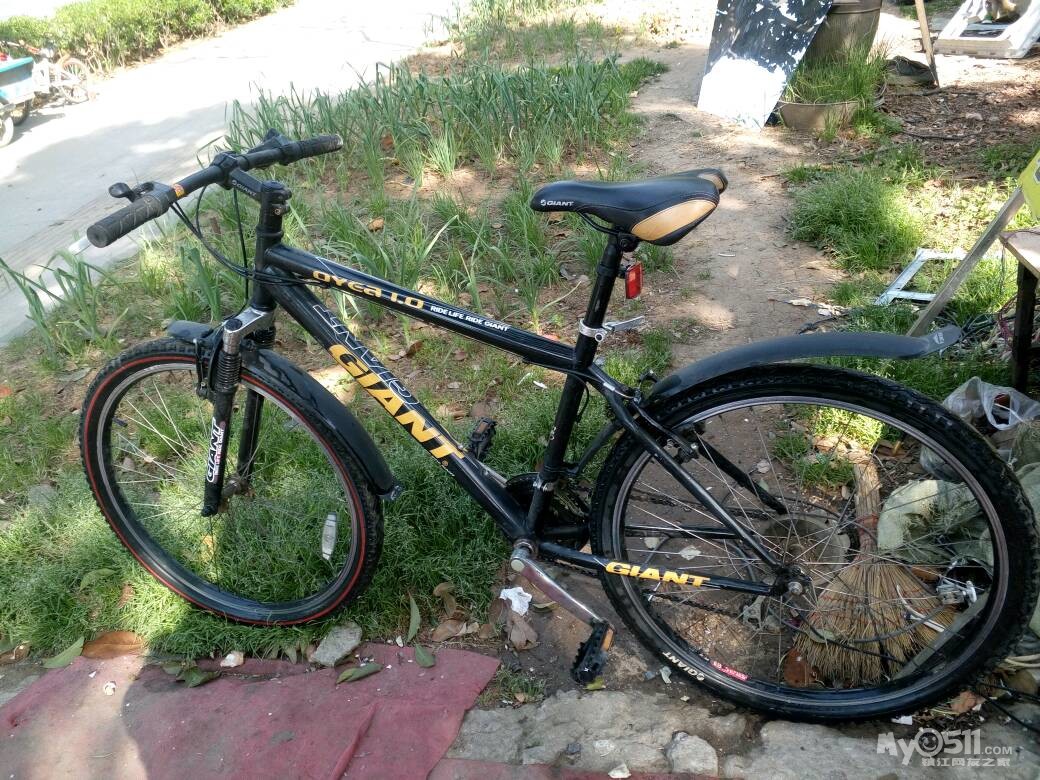 转捷安特山地车,280元.