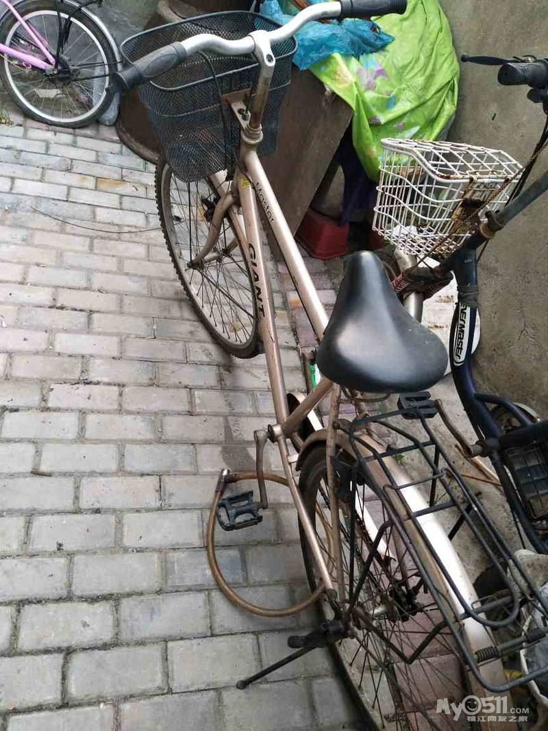 转让捷安特自行车100元,地址桃花坞,电话15365988103