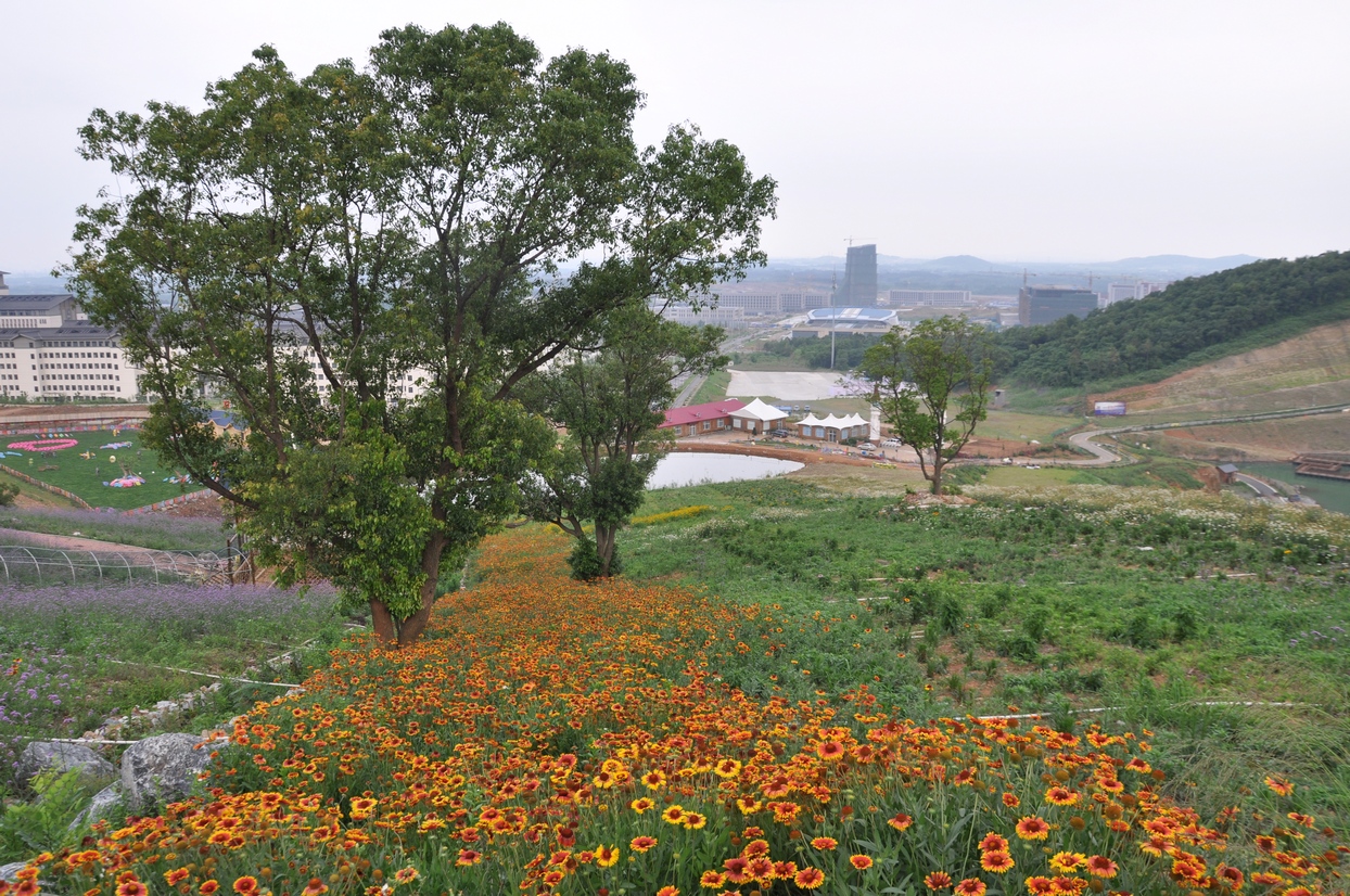 长山薰衣草庄园