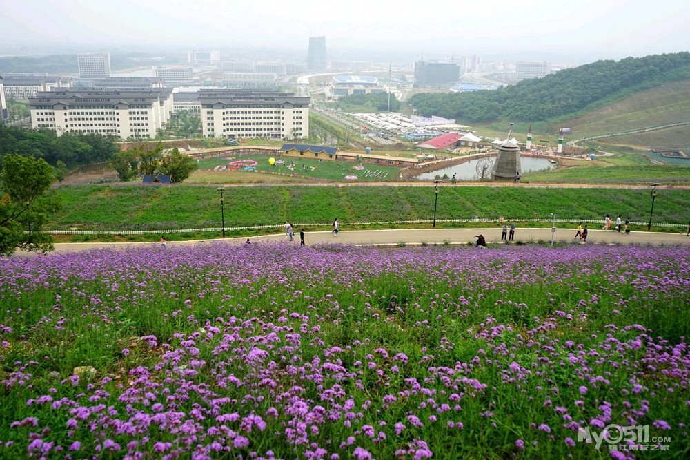 标题: 长山薰衣草庄园再探