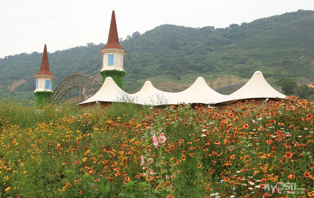 520长山薰衣草庄园