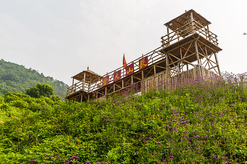 镇江丹徒长山薰衣草公园随拍