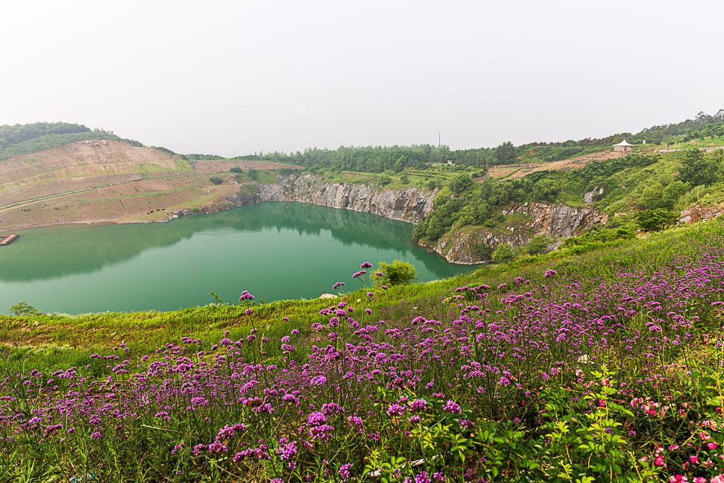 镇江丹徒长山薰衣草公园随拍