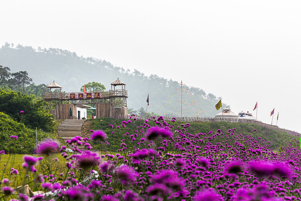 镇江丹徒长山薰衣草公园随拍