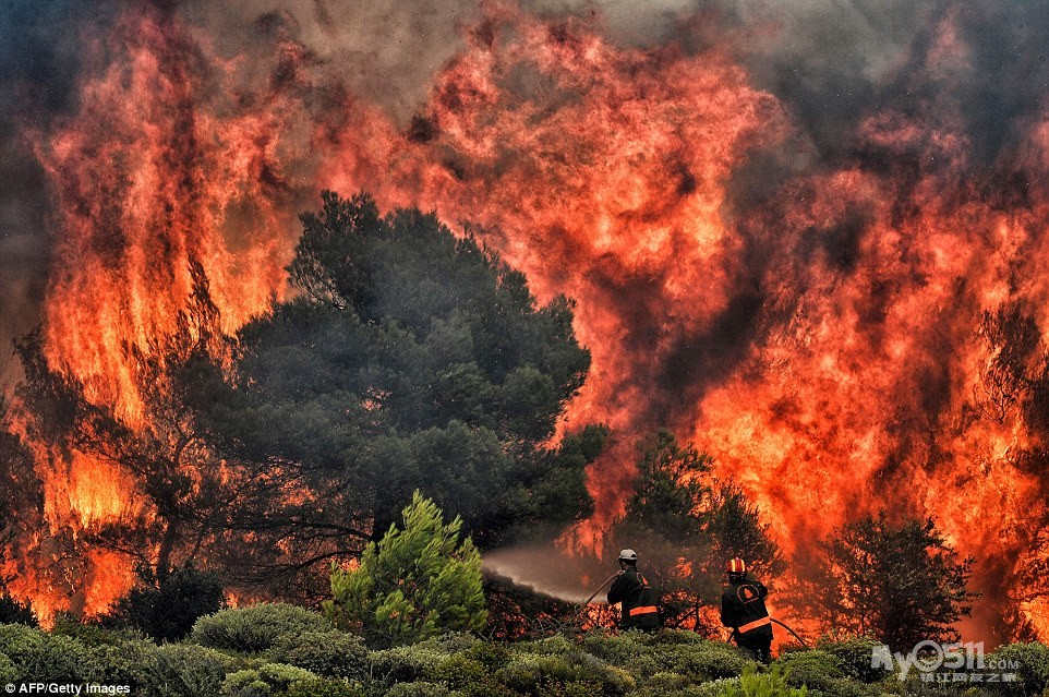 希腊森林大火现场图片.遇难人数升至88人 .现场图片最新更新