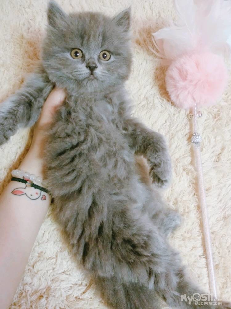 甜美纯蓝高地妹妹给钱就卖咯