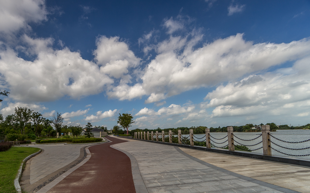 台风摩羯过后的镇江长江路风光 - 视觉coffeeshop摄影部落 - 梦溪论坛