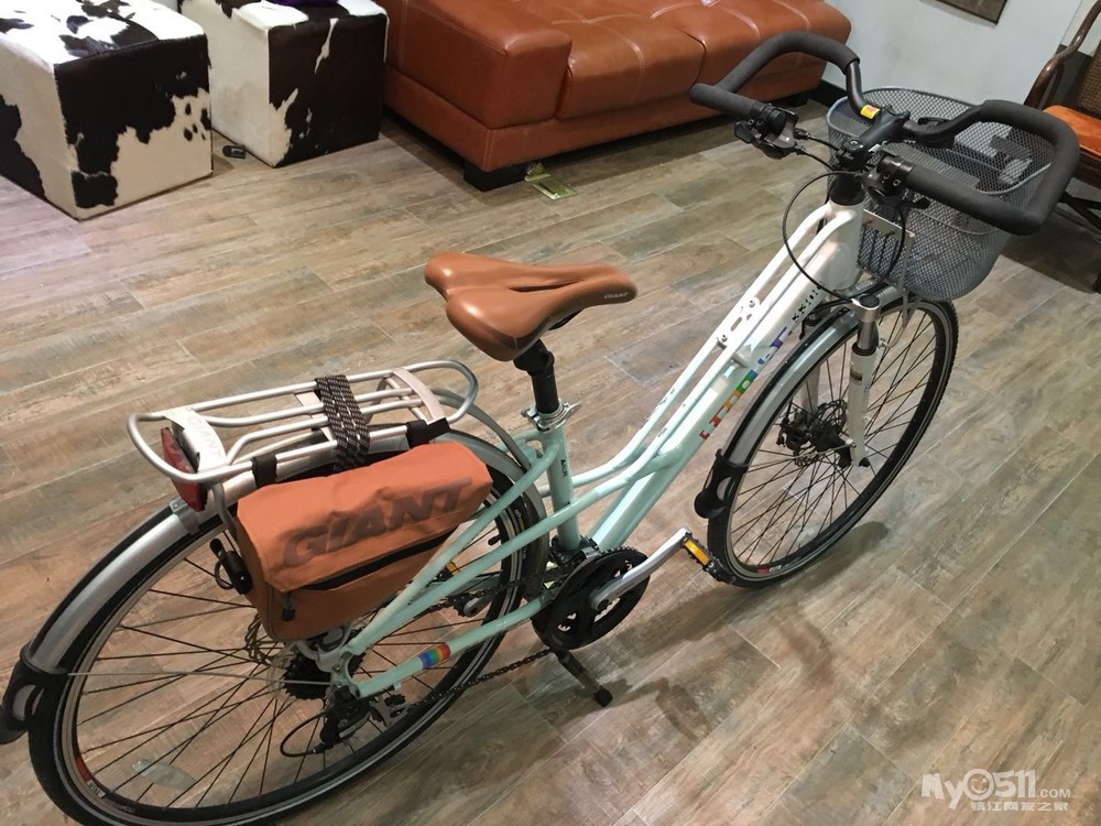 捷安特trooper(帝柏)3300专业长途旅行车