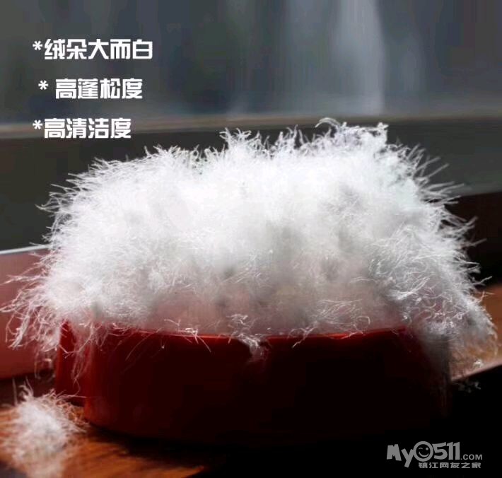 血拼一族 03 大牌同款,95白鹅绒被 面料:95%棉5.