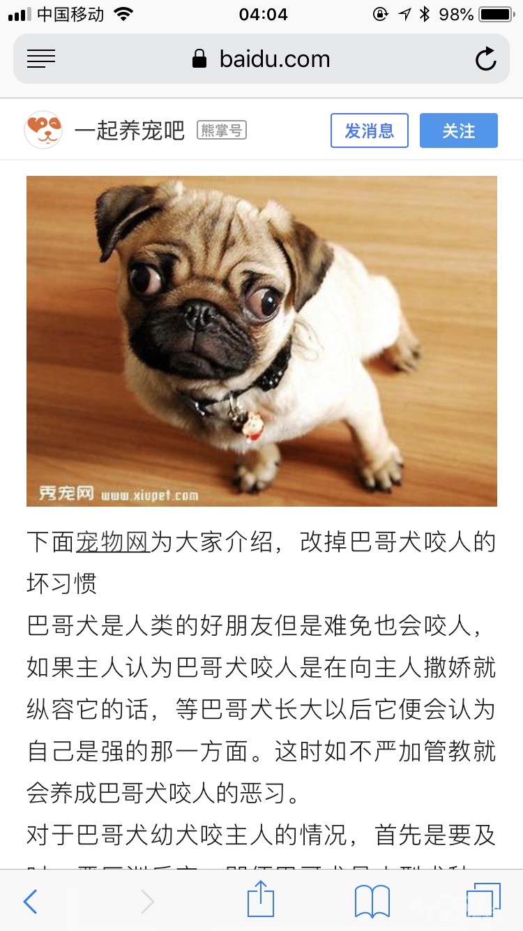 猫狗总动员 - 梦溪论坛 镇江,时事,招聘,求职,社区,房产,装修,美食