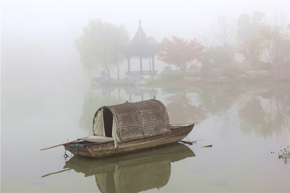 朦胧景更丽,宛若画中行.