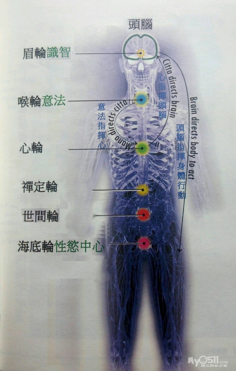 七轮观想图图片