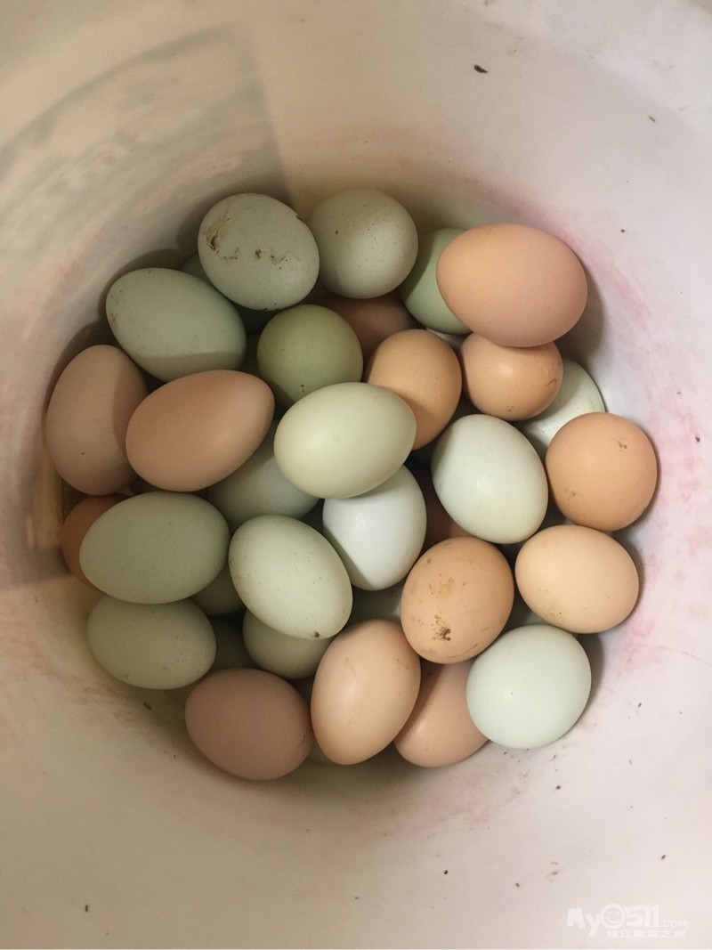 老家里带来的散养鸡蛋60个,有需要的吗?