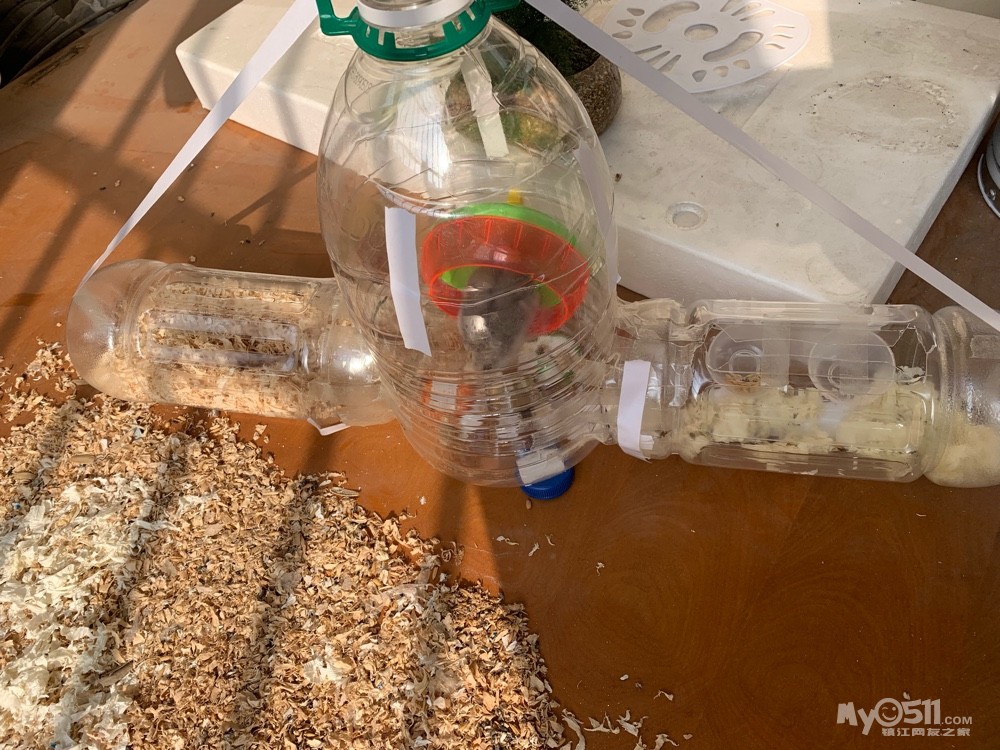 塑料瓶自制仓鼠浴室图片