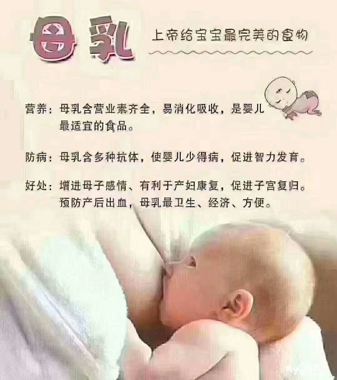 qn_1555304671455631_812.jpg