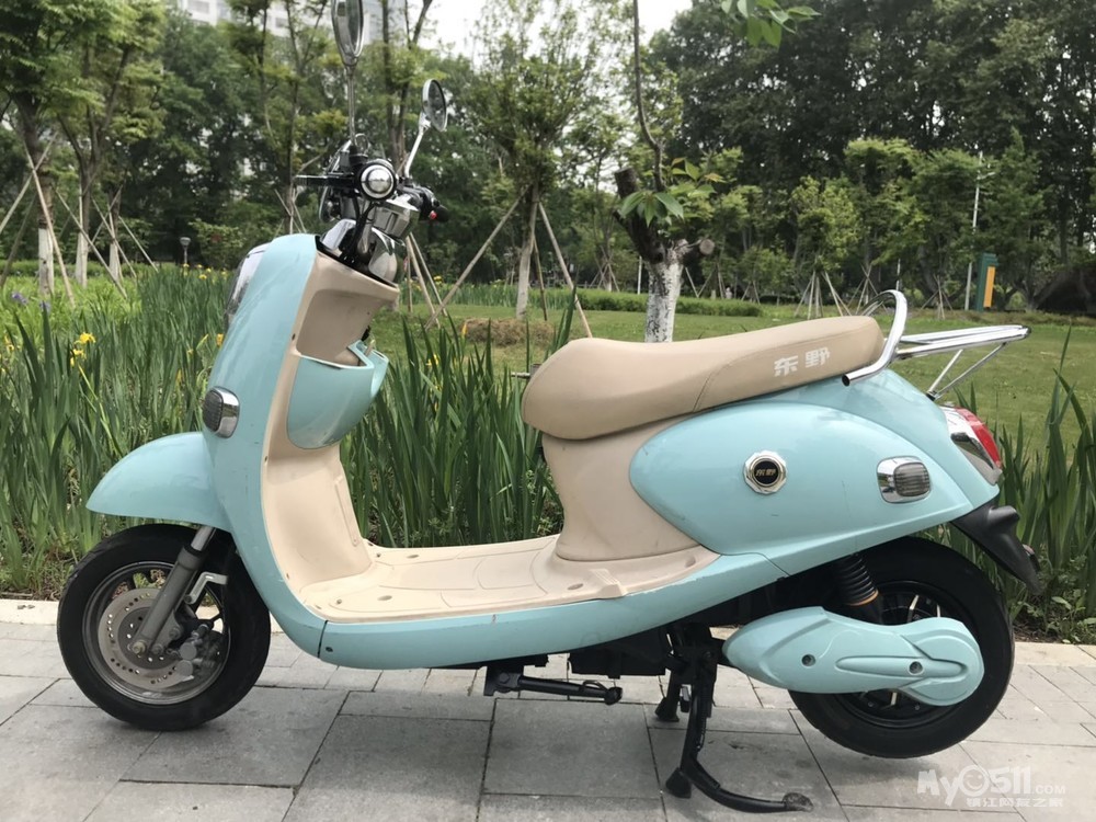 东野60伏小龟王出售.