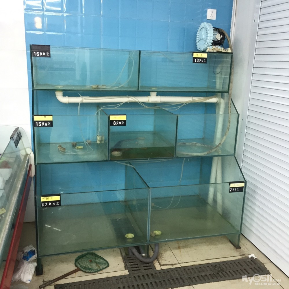 水产鱼缸专用,一米六长高一米三