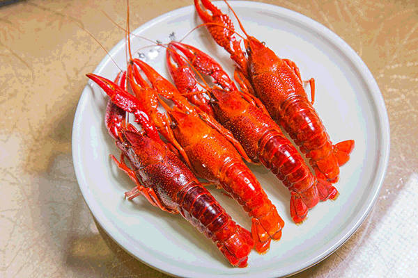 镇江789个头的"超大号小龙虾"c位出道!