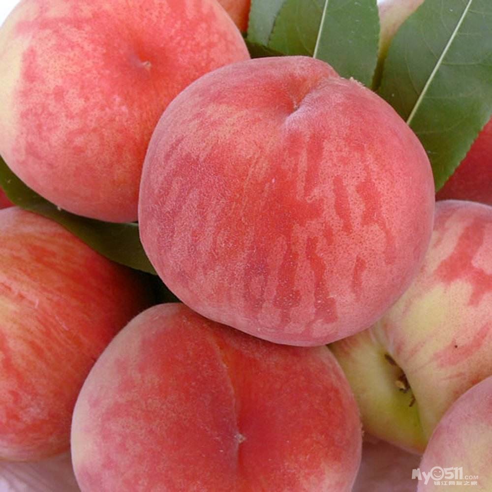 江心洲益平生态桃园基地油桃毛桃可以采摘啦,水蜜桃也即将上市