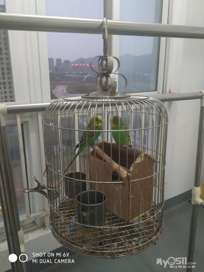 高档虎皮鸟笼 1910121748246e096703ec778a.jpg