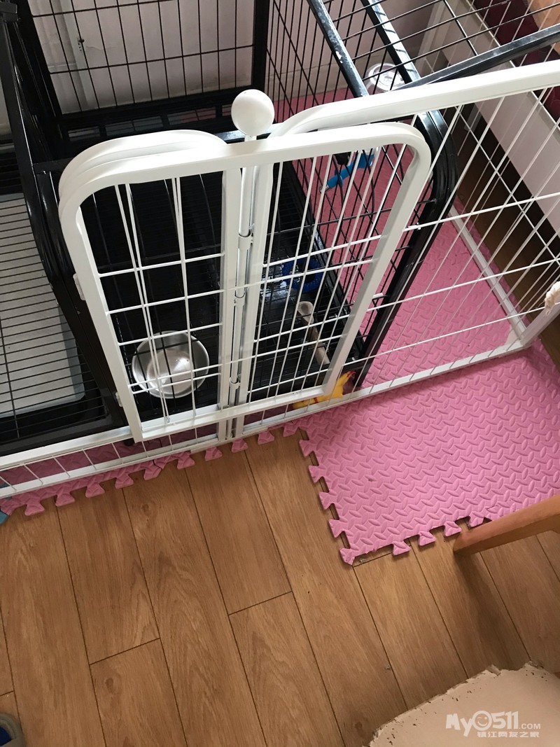 怎么不让狗狗在笼子里乱叫 qn_1572361655291267311rs.jpg