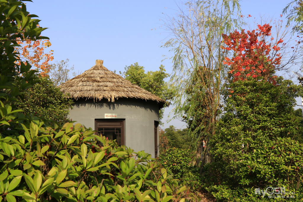 走进水美乡村——高资水台村