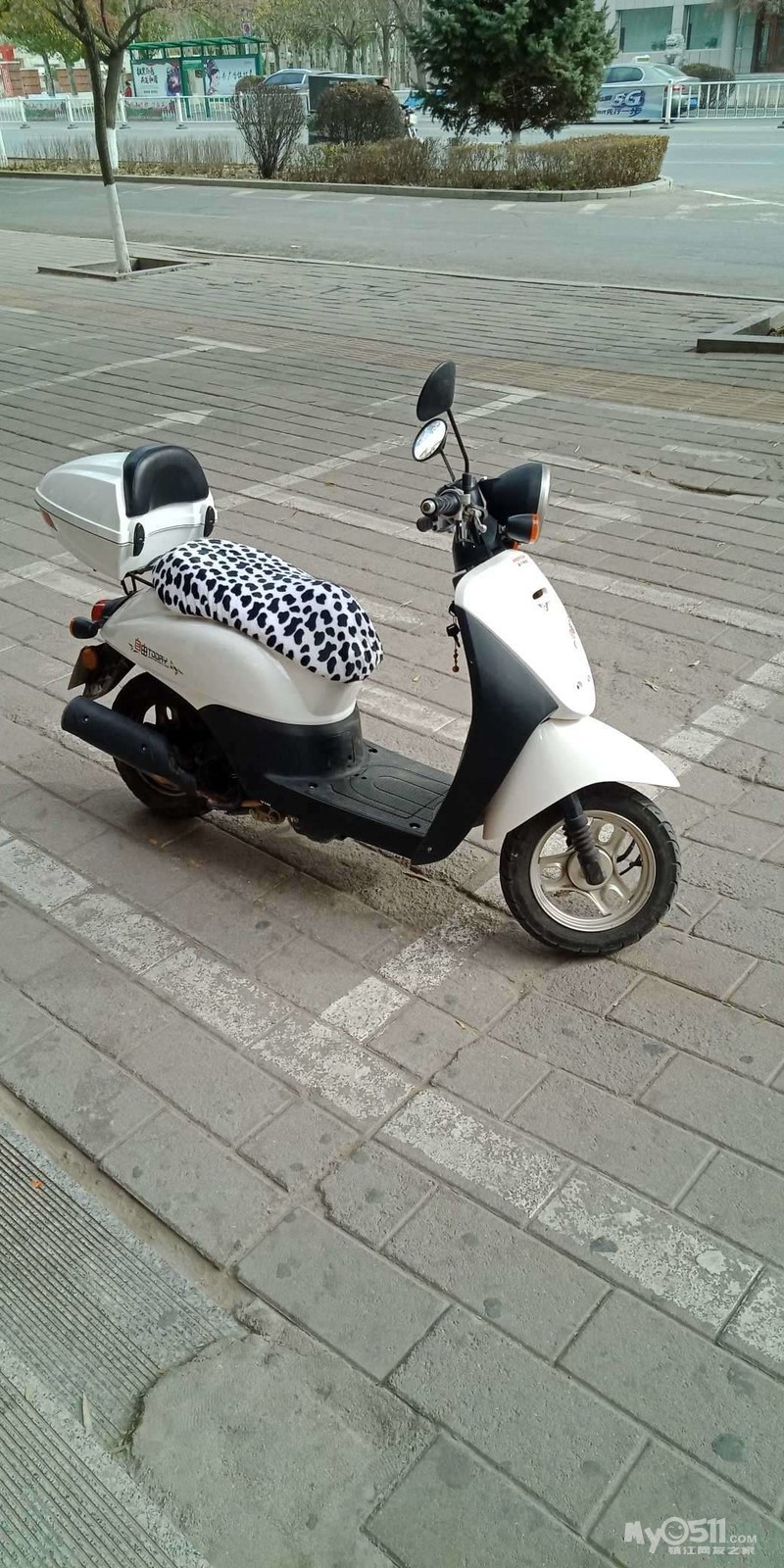 谁有本田自由today50