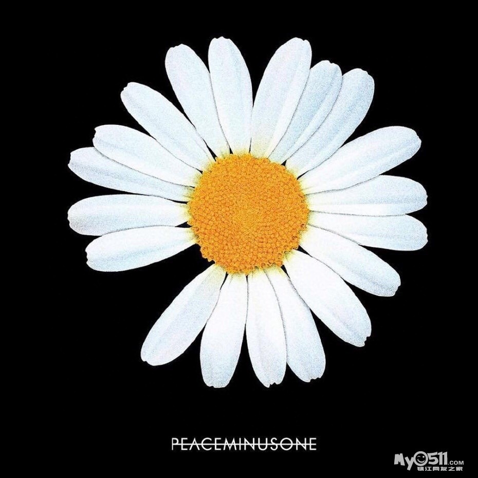 匡威权志龙小雏菊 peaceminusone x converse