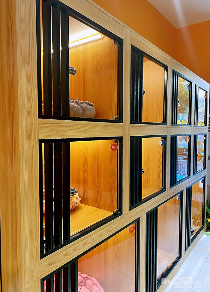 疫情后要出门20天,寻求狗狗寄养家庭