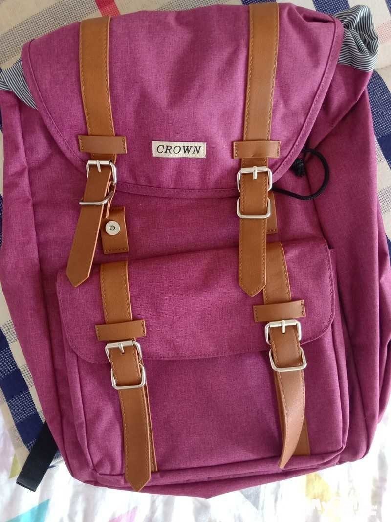 户外全新双肩包背包两个100