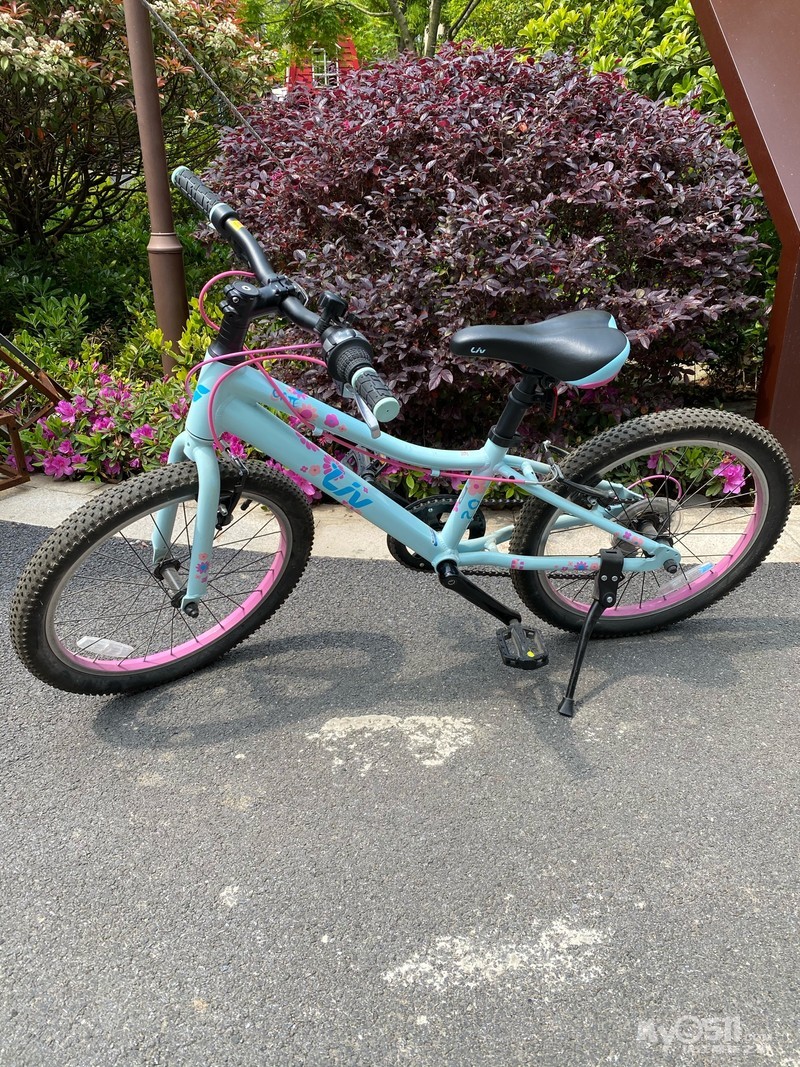 捷安特凯特儿童20寸变速自行车 [广告推广]