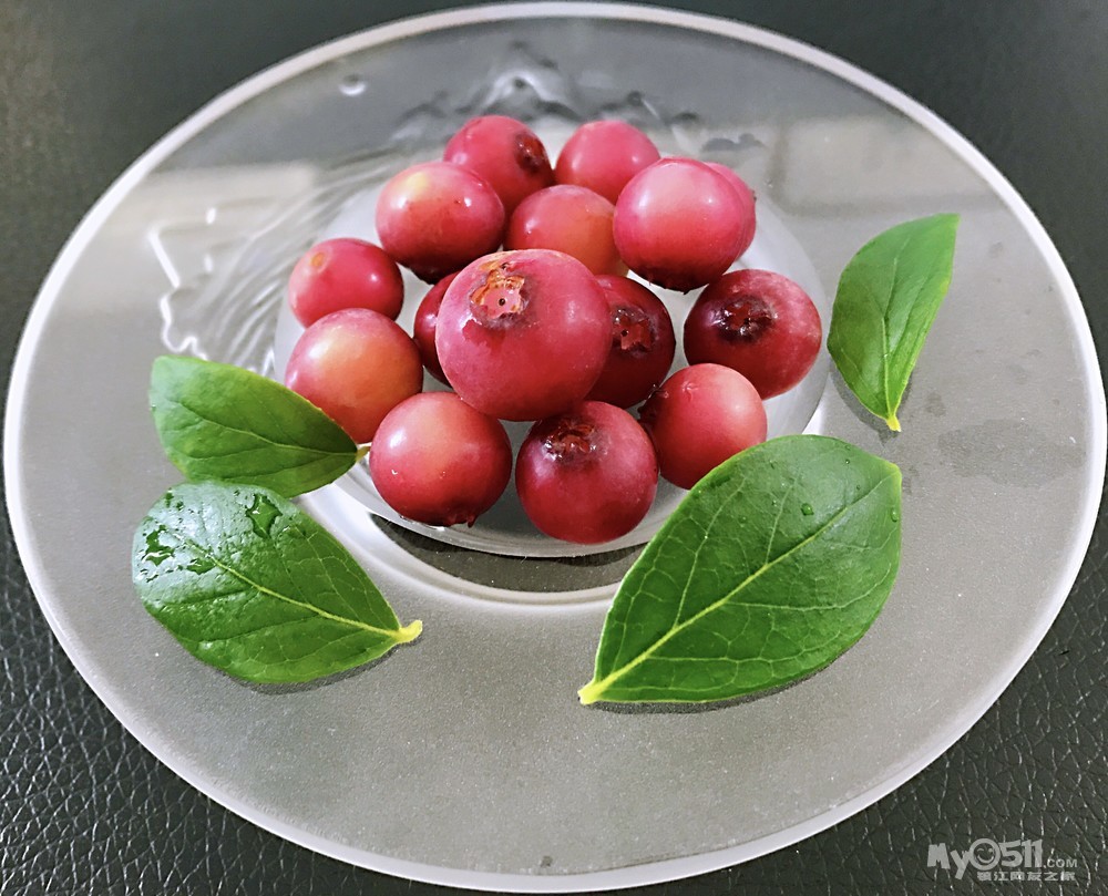 2004291637eb9233c9a7c01abf.jpg