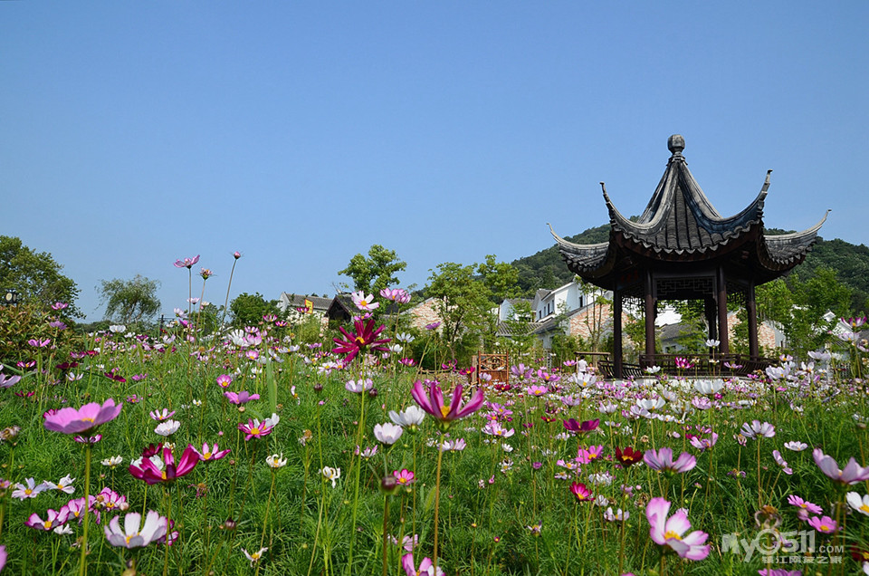 菜菜鸟户外2020休闲计划:四季花海楚韵花香 邂逅美丽不老村(5月24日