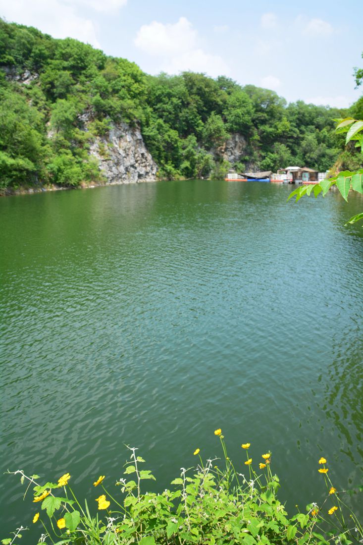 南山绿宝石天池  满山遍野绽放金黄色金鸡菊>> - 镜头里的镇江 - 梦溪