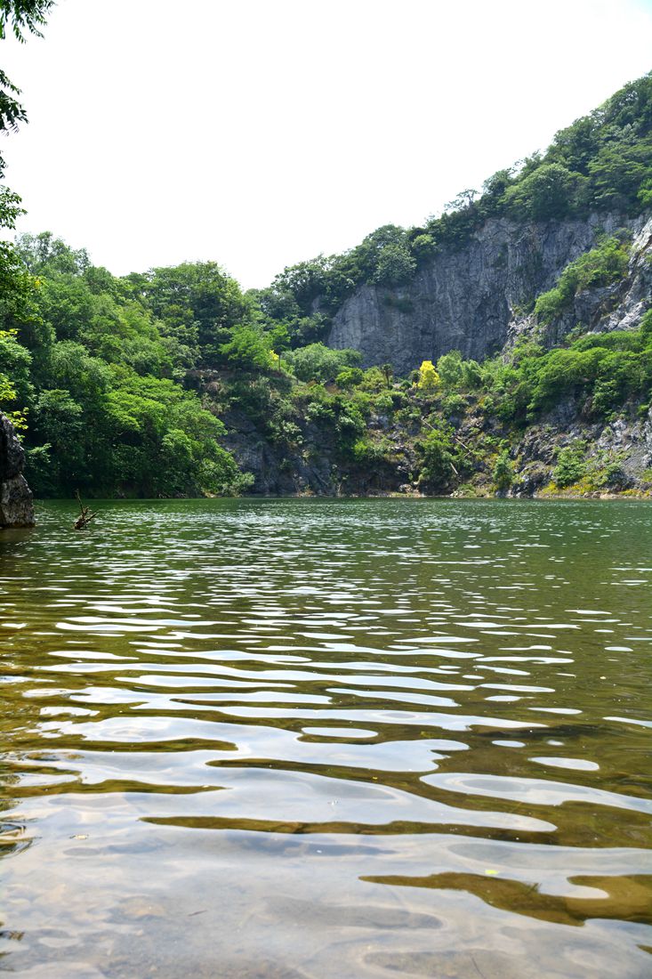 南山绿宝石天池  满山遍野绽放金黄色金鸡菊>> - 镜头里的镇江 - 梦溪