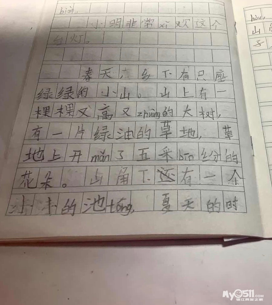 日记一天一篇50字（四年级日记50字）