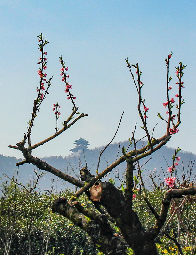 嶂山村图片